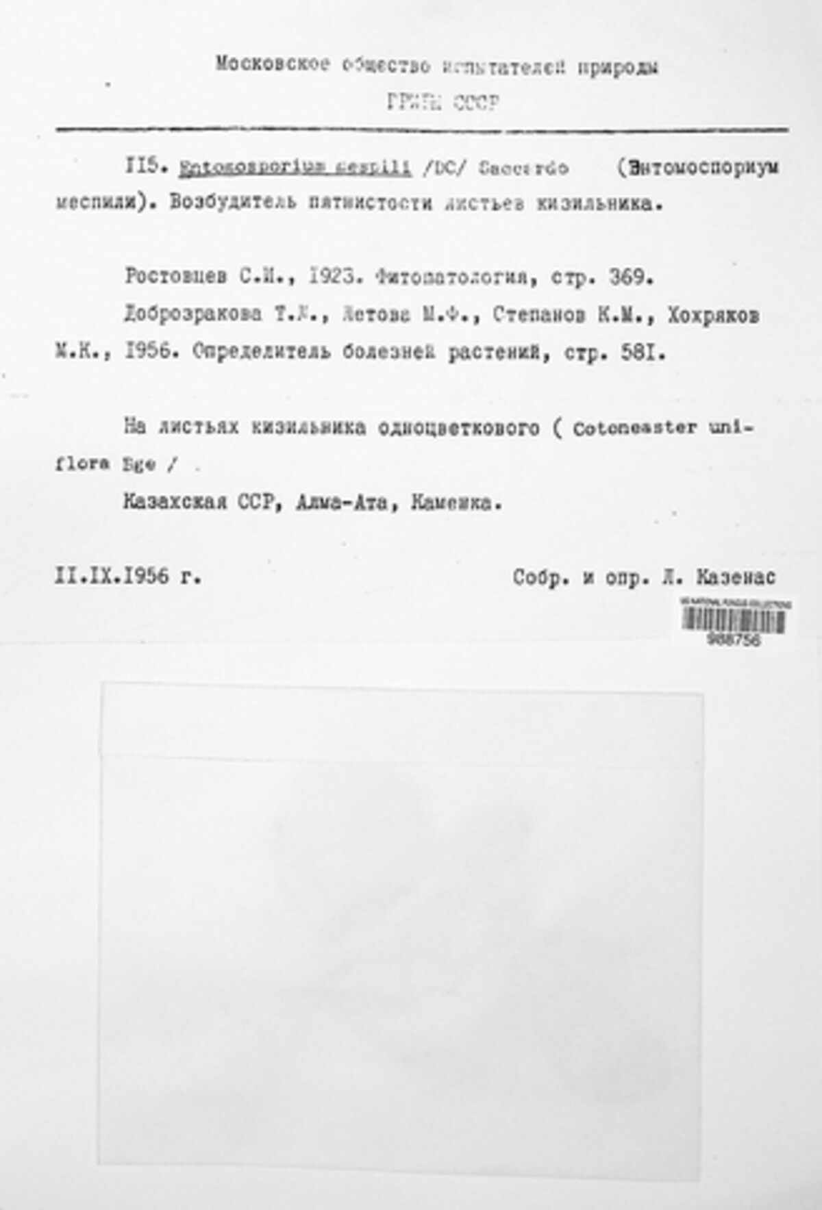 Diplocarpon mespili image